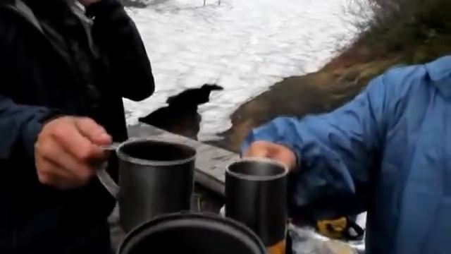 Камчатка,Встреча с медведем. смотреть онлайн