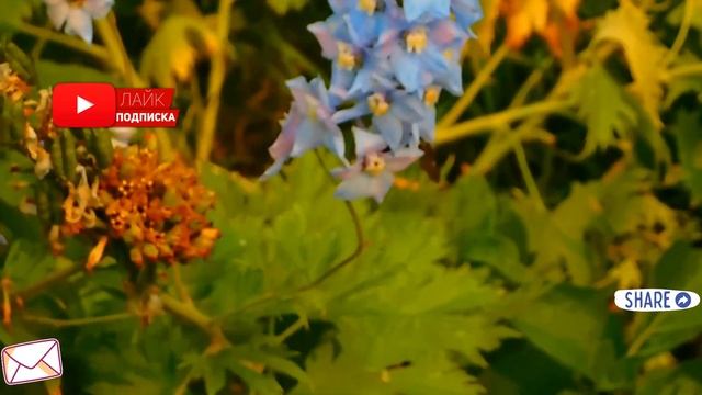 В канун нового года к снегурочке пристают четверо гопников... И вот когда она из последних сил... смотреть онлайн