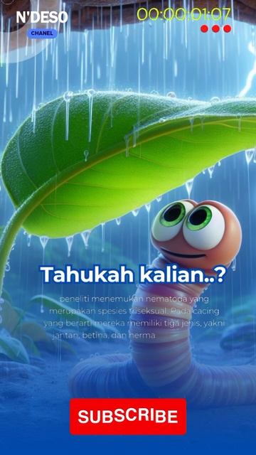 Daily Facts "Cacing memiliki kelamin lebih dari 1" смотреть онлайн