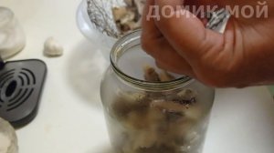 Рецепт  - как я закрываю грибы грузди на зиму.