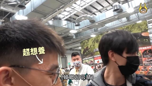 台灣史上最大昆蟲展！長戟大兜蟲大軍、印尼金鍬調色盤、15萬元的感動-銀背大角！揚名國際飼養技術 смотреть онлайн
