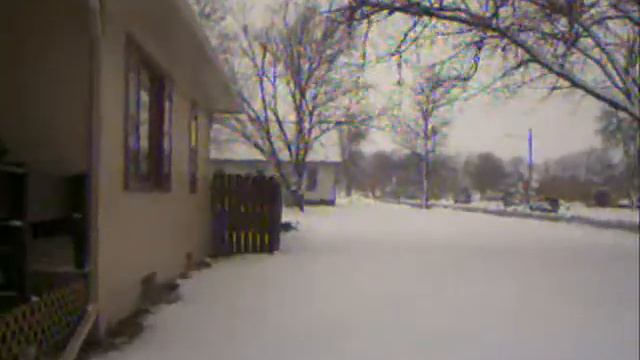 Pansies In Teh Snow 1 смотреть онлайн