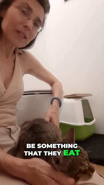 Saving Faestas: A Heartbreaking Farewell after Kidney Failure смотреть онлайн