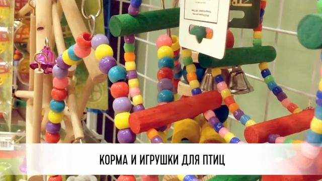 Видео о зооцентре "Лапки и Ушки". смотреть онлайн