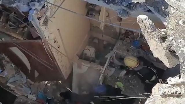В Харькове бойцы ГСЧС спасли кота, который две недели просидел в разрушенном доме смотреть онлайн