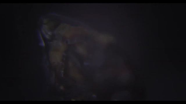 Spittlebug смотреть онлайн