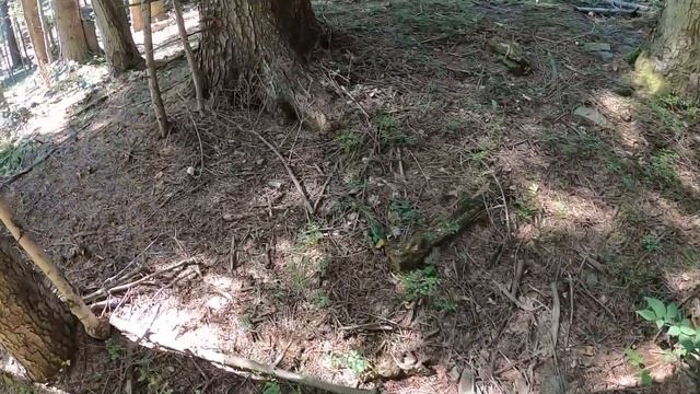 Grzyby 2021 Tak Było We Wrześniu Część 3