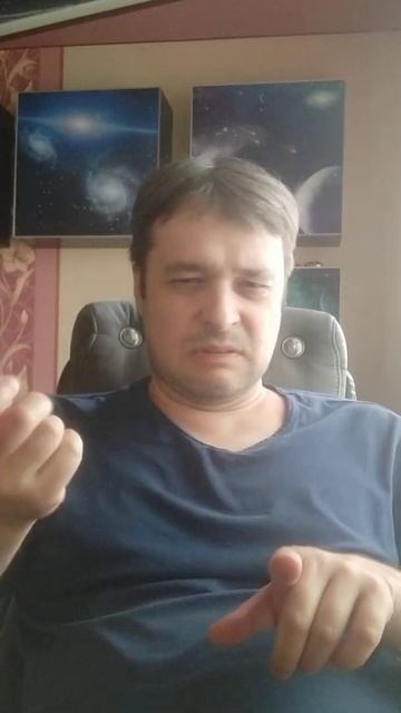 Акула в Египте сторис смотреть онлайн