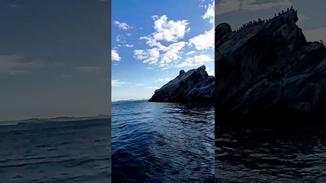 Бакланы смотреть онлайн