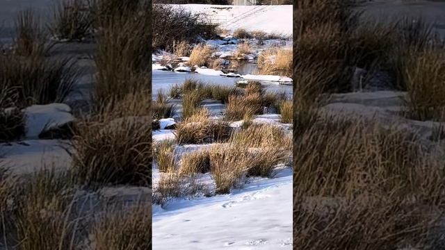 Стих: я стараюсь…. смотреть онлайн