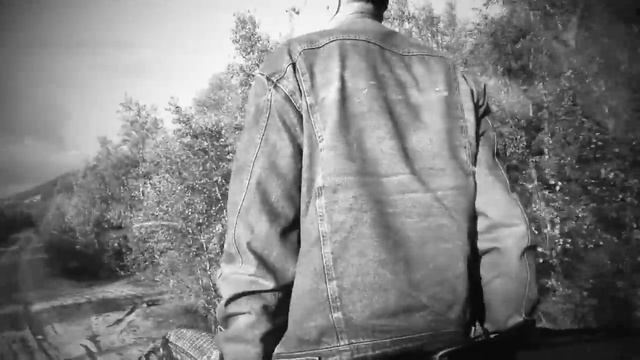 Грибы с Володей 2016