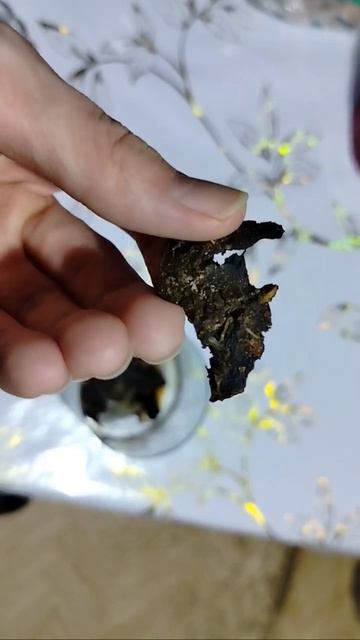 черный мухомор смотреть онлайн