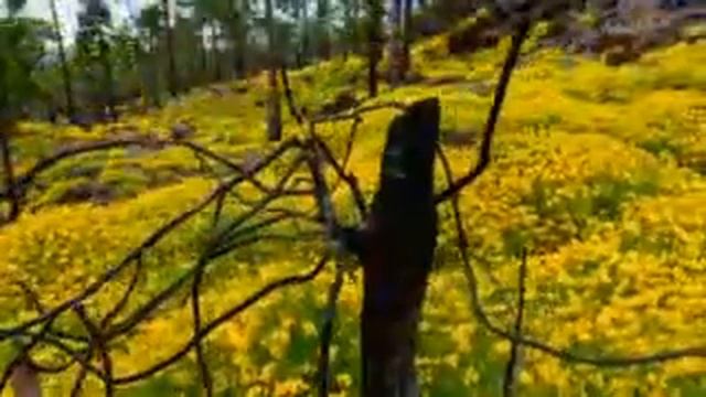 красота!!-2012 смотреть онлайн