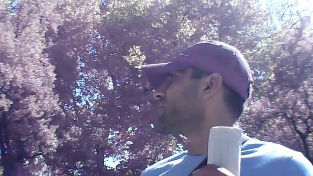 Парковка Ливадия