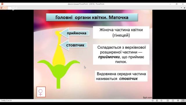 Будова квітки смотреть онлайн