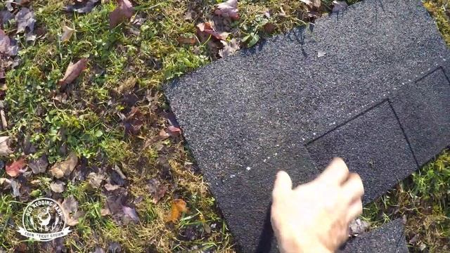 Alpaca Barn Build: Finishing the Roof смотреть онлайн