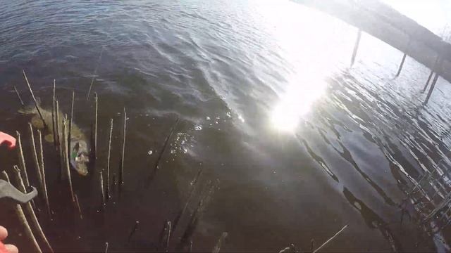 Щучий жор 30.10.2021:щука 4.3кг смотреть онлайн