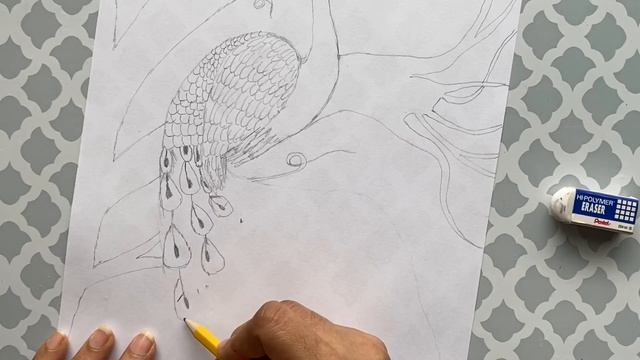 How to draw a peacock step by step смотреть онлайн
