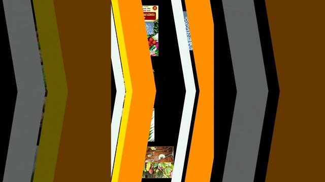 Bio Pesticides | ಜೈವಿಕ ಪೀಡೆನಾಶಕಗಳು | смотреть онлайн