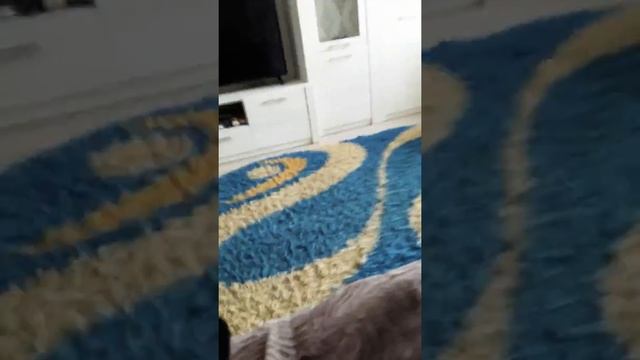 Очень круто грибы собирать???, смотреть онлайн