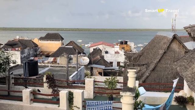 BEST Airbnb HOTEL ROOM GUIDE/ Lamu island/ Kenya 🇰🇪 смотреть онлайн