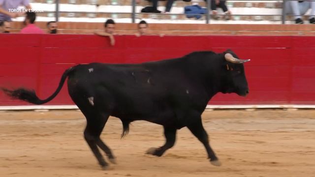 LA SANTIAGUITA, SARITA Y AMANDA MONFERRER EN TERUEL смотреть онлайн