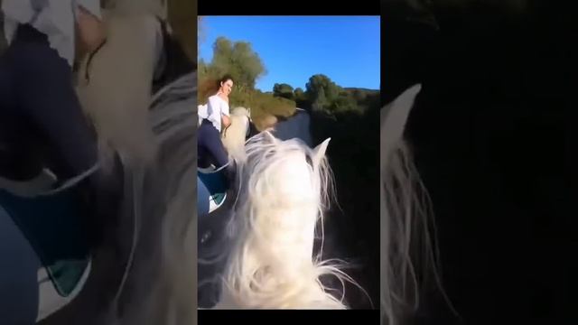 конная дружина ❤️❤️❤️🤙🤙🤙💪💪💪мир труд май с праздником Россияни смотреть онлайн