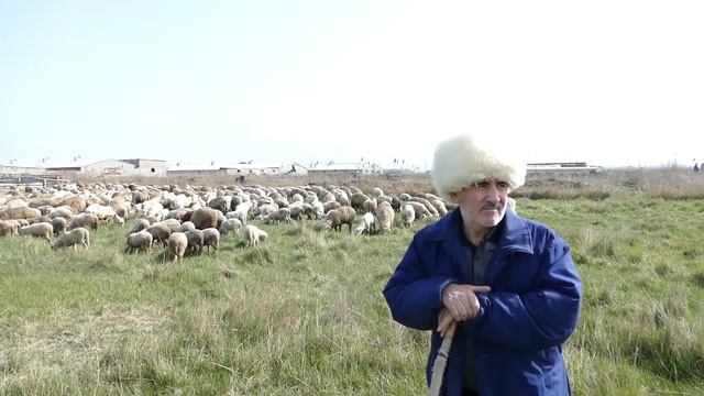 Чабанам посвящается смотреть онлайн