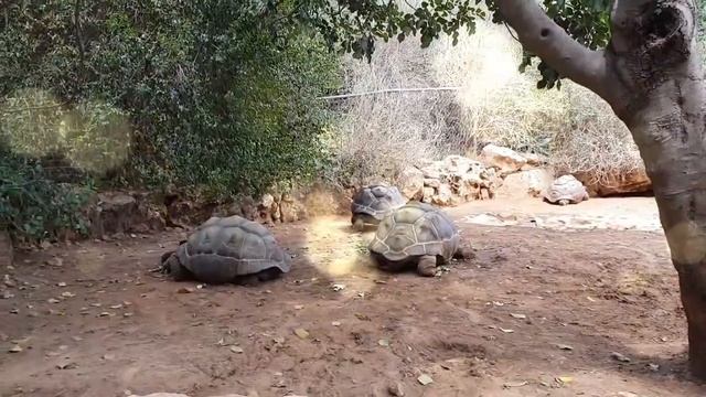Сожгите это и порча на деньги вернётся врагу обратно