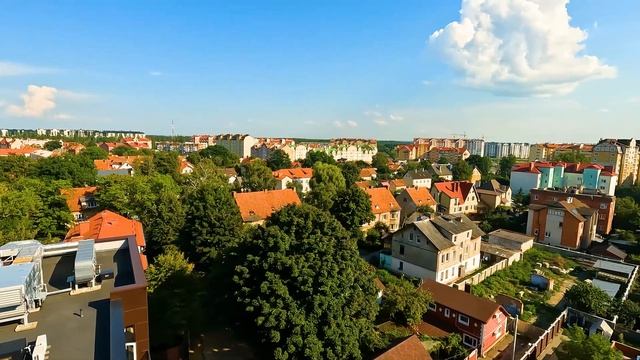 МУРАРИУМ - МУЗЕЙ КОШЕК В ЗЕЛЕНОГРАДСКЕ. смотреть онлайн
