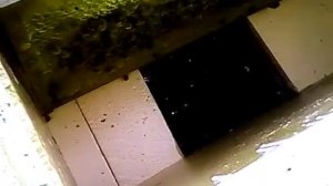 Формирование отводка на маточник тихой смены