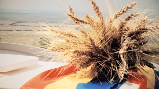SERGIU TURCANU MOLDOVA MEA смотреть онлайн
