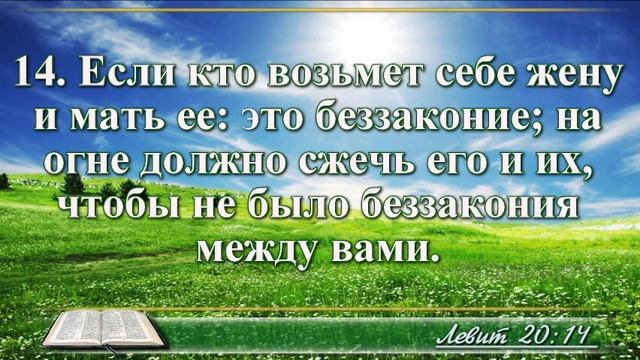 ВидеоБиблия Книга Левит без музыки глава 20 Соколов смотреть онлайн