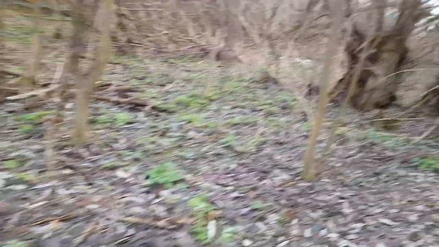 Ноябрь месяц, а мы по грибы. смотреть онлайн