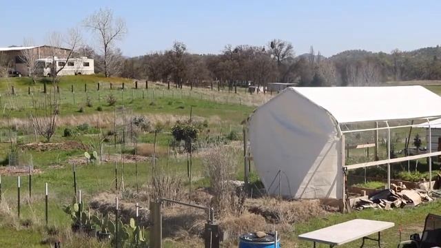 Fresno State Focus 4/21/21 смотреть онлайн