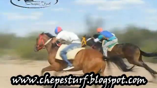 MOLE MOLI 2013 HIP SAN PEDRO 28 12 VIDEO DE CHEPES TURF смотреть онлайн