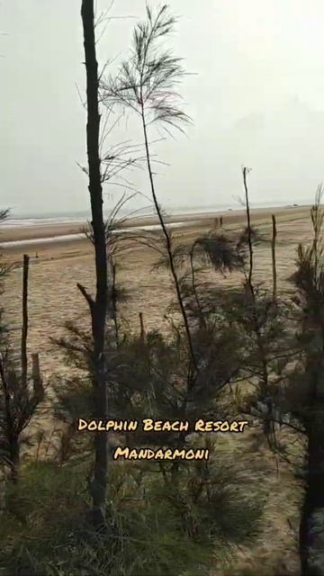Dolphin Beach Resort, Mandarmoni смотреть онлайн