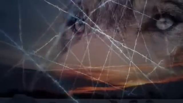 Волчья Доля Сборник шансона о волках Серые братья смотреть онлайн