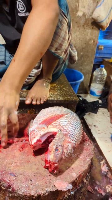 Amazing Tilapia Fish Cutting Skills In Bangladesh Fish Market #shorts смотреть онлайн