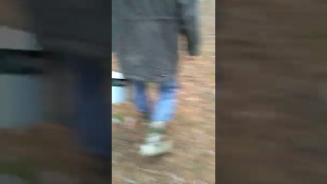 МЫ В ЛЕСУ ИЩИМ ГРИБЫ.