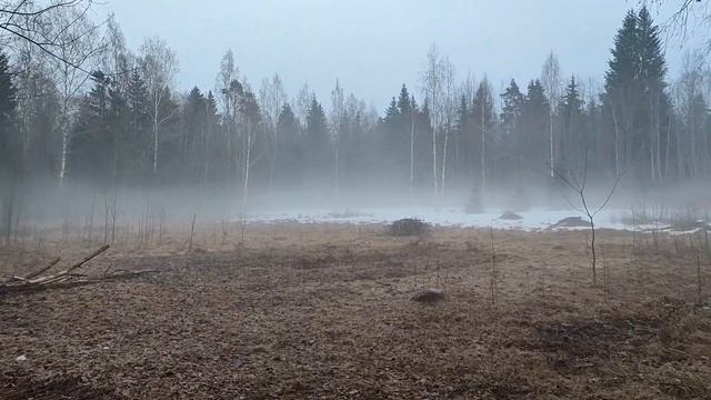 День удался. смотреть онлайн