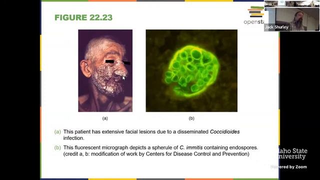 Introductory Microbiology