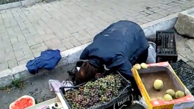 Почем сливы?