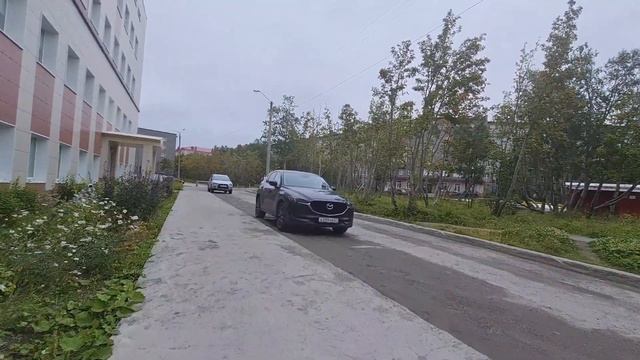 Переезд на север/Срочно 💥Требуется ЛОР/С работы с грибами/Зверинец по домашнему.