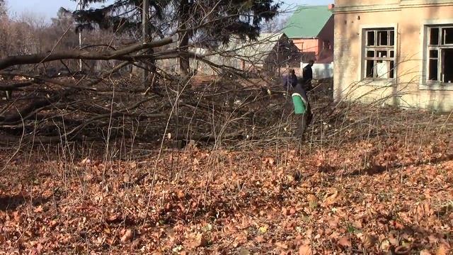 Фильм3 Факт злочину 3 Незаконне знищення парку в м Новоград Волинську, Житомирської обл смотреть онлайн
