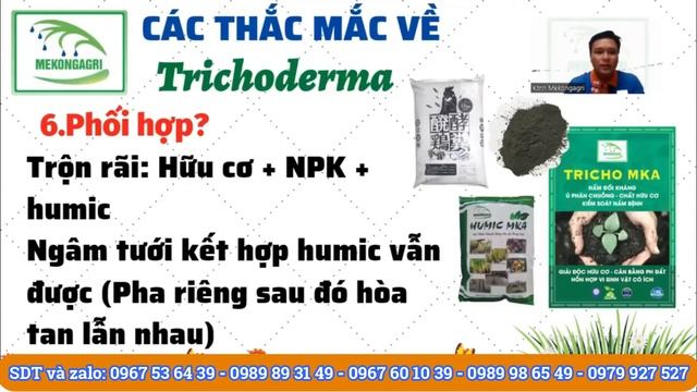 Humic và trichoderma phối với phân bón? | Các thắc mắc thường gặp về sử dụng Trichoderma смотреть онлайн
