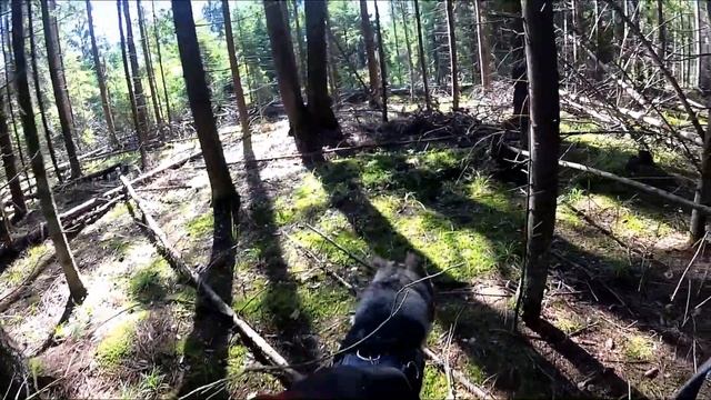 ПО ГРИБЫ , ДА ПО ЯГОДЫ... 😋 Июль 2023 г.