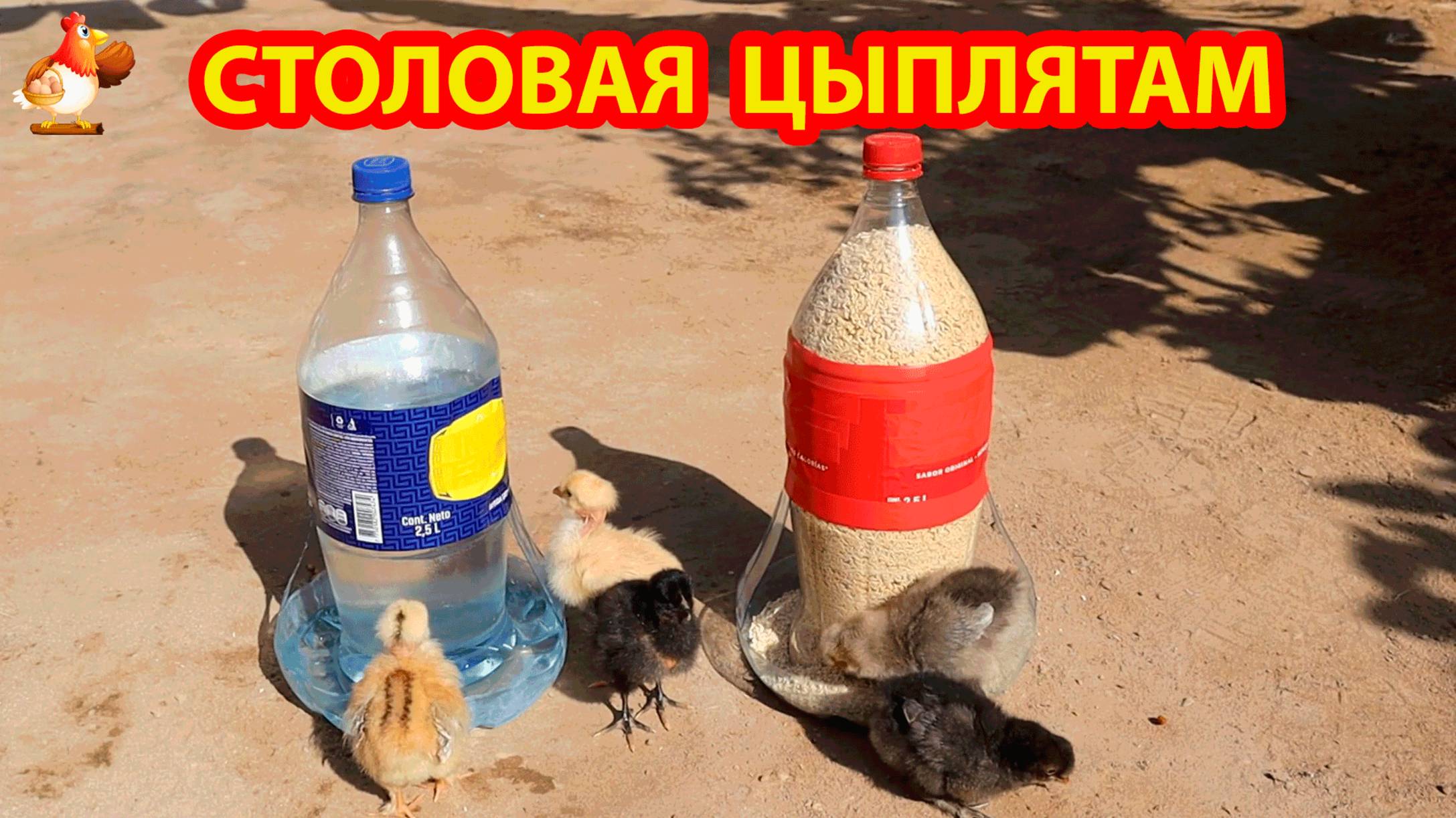 Кормушка и поилка для цыплят собирается из 2.5 и 5 л бутылок ❣️🤗😂 смотреть онлайн