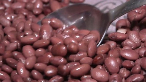 VAVA studio - Lobov pashtet