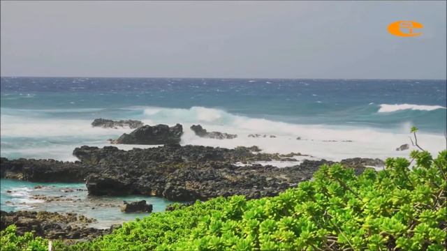 Мұқағали Мақатаев өлеңдері 61 смотреть онлайн